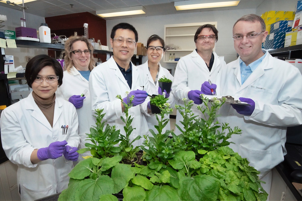 Agriculture lab workers